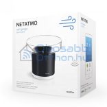 Netatmo Rain Gauge