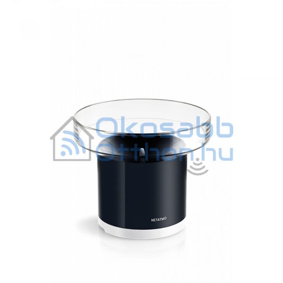 Netatmo Rain Gauge